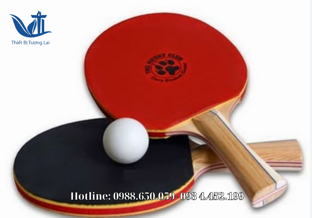 Vợt bóng bàn chất lượng cao cho người mới và vận động viên