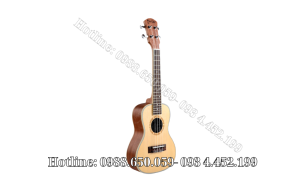 Đàn ukulele