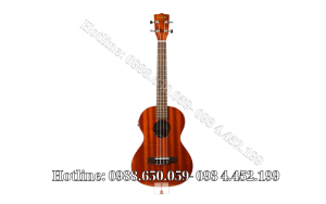 Đàn ukulele