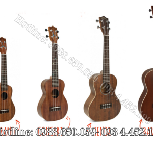 Đàn ukulele