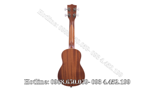 Đàn ukulele