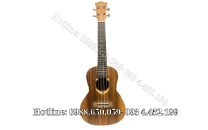 Đàn ukulele