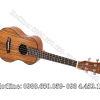 Đàn Ukulele Concert Gỗ Koa Full Solid