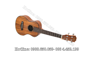Đàn Ukulele Concert Gỗ Koa Full Solid