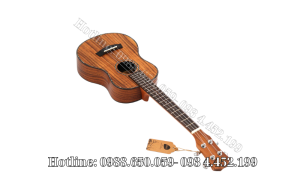 Đàn Ukulele Concert Gỗ Koa Full Solid