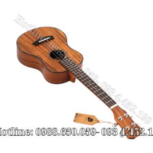 Đàn Ukulele Concert Gỗ Koa Full Solid