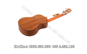 Đàn Ukulele Concert Gỗ Koa Full Solid