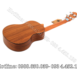 Đàn Ukulele Concert Gỗ Koa Full Solid