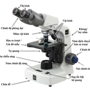 Kính hiển vi quang học