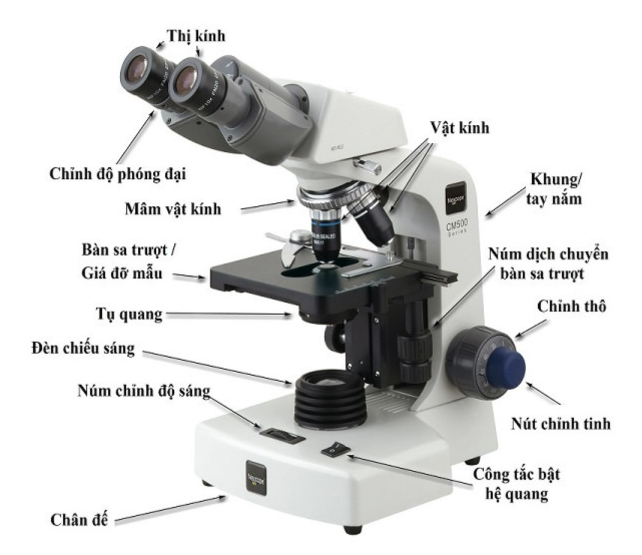Kính hiển vi quang học