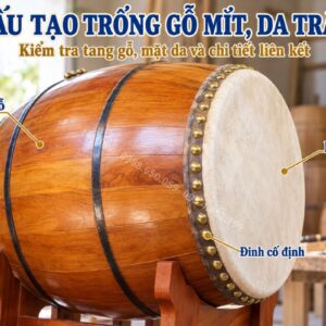 Cấu tạo tang gỗ mít và mặt da trâu của trống trường học.