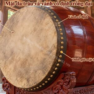 Cận cảnh mặt da trâu và vành cố định của trống đại